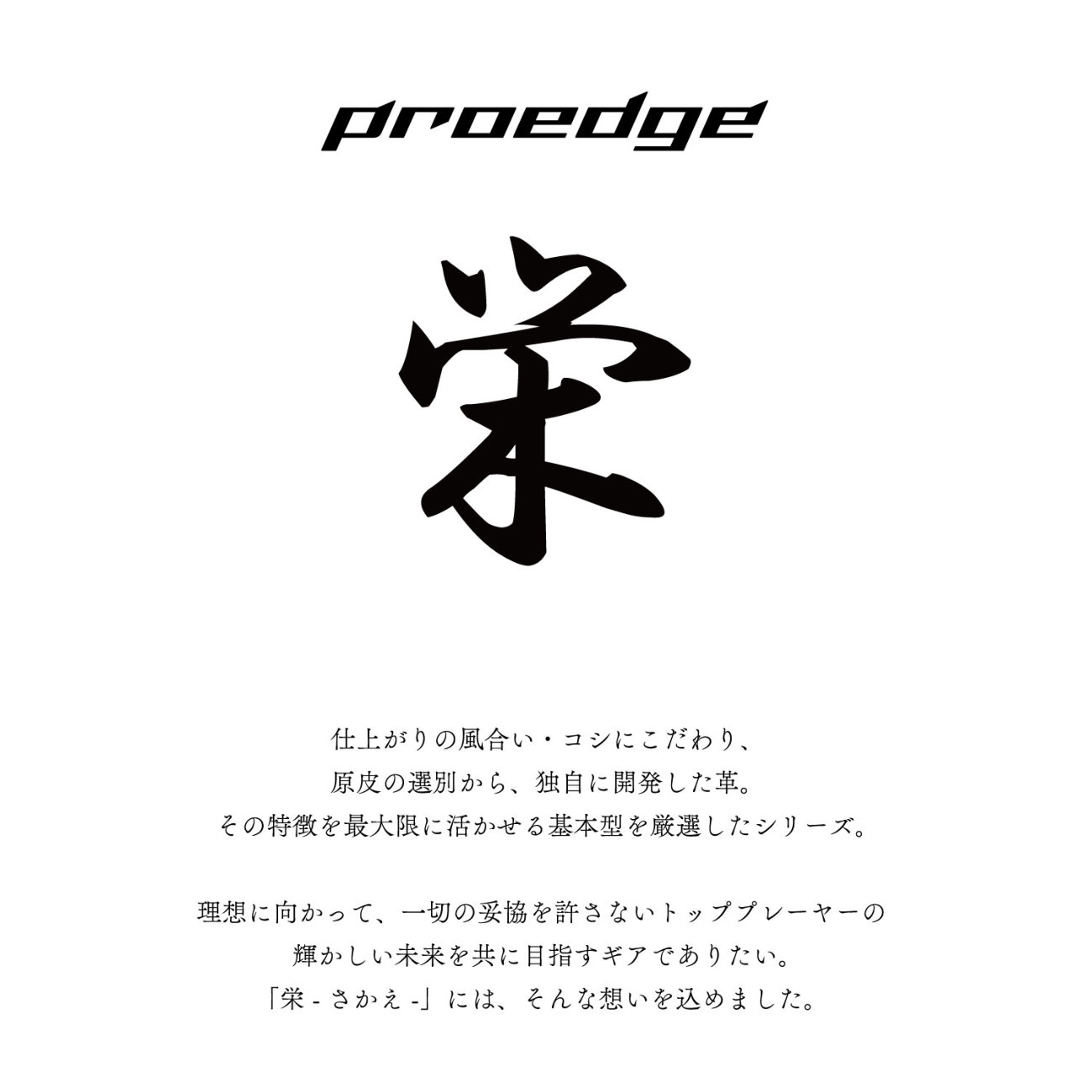 SSKBASEBALL23秋冬NEW 【proedge（プロエッジ）】「栄」硬式プロエッジ